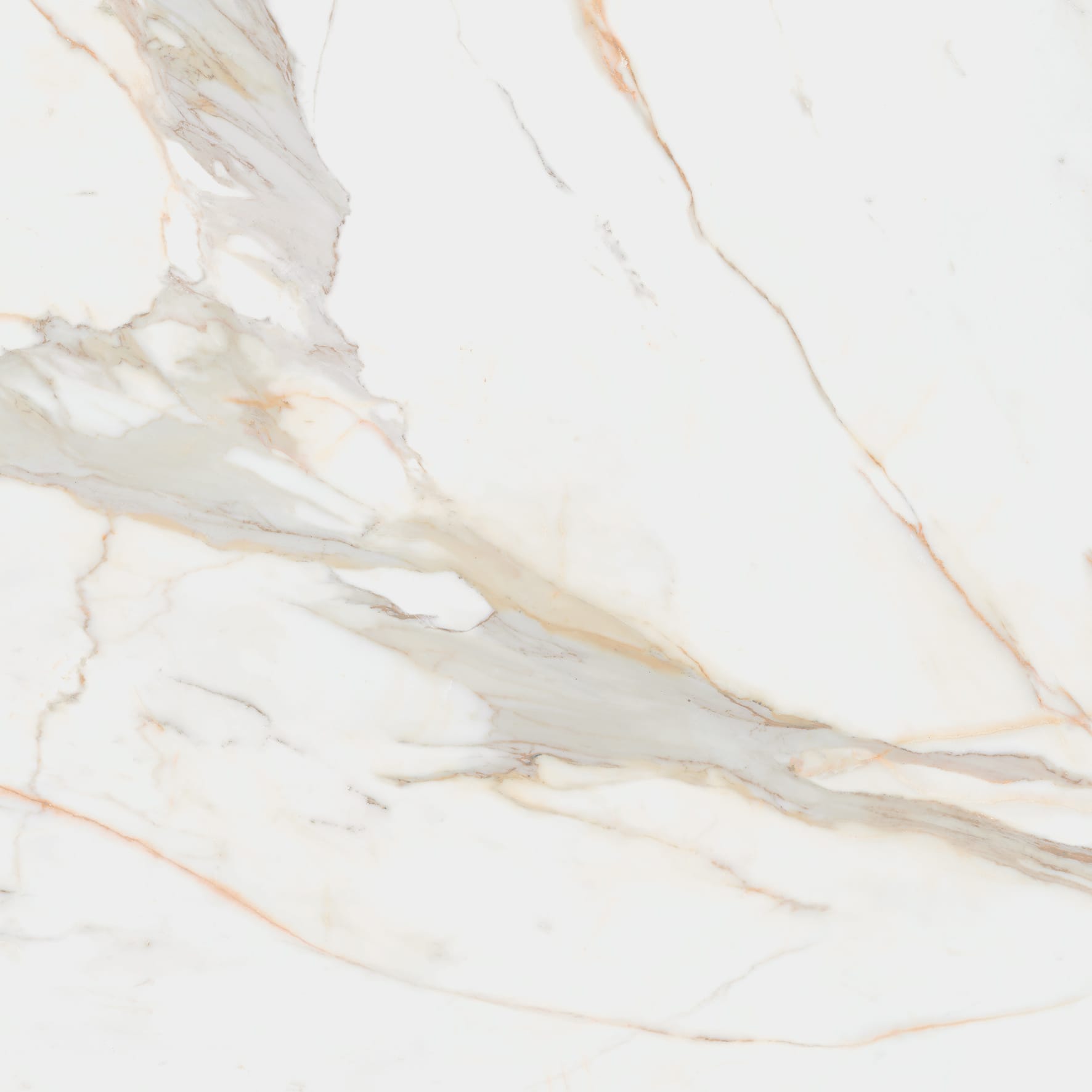 Calacata Gold Satin - marmerlook vloer- en wandtegel in multicolor, Pamesa
