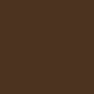 Basic Chocolate 450 Glans - kleur & designlook wandtegel in bruin, Ceragni