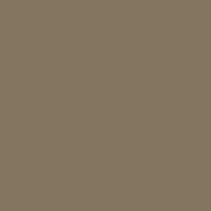 Basic Mocha 1450 Glans - kleur & designlook wandtegel in bruin, Ceragni