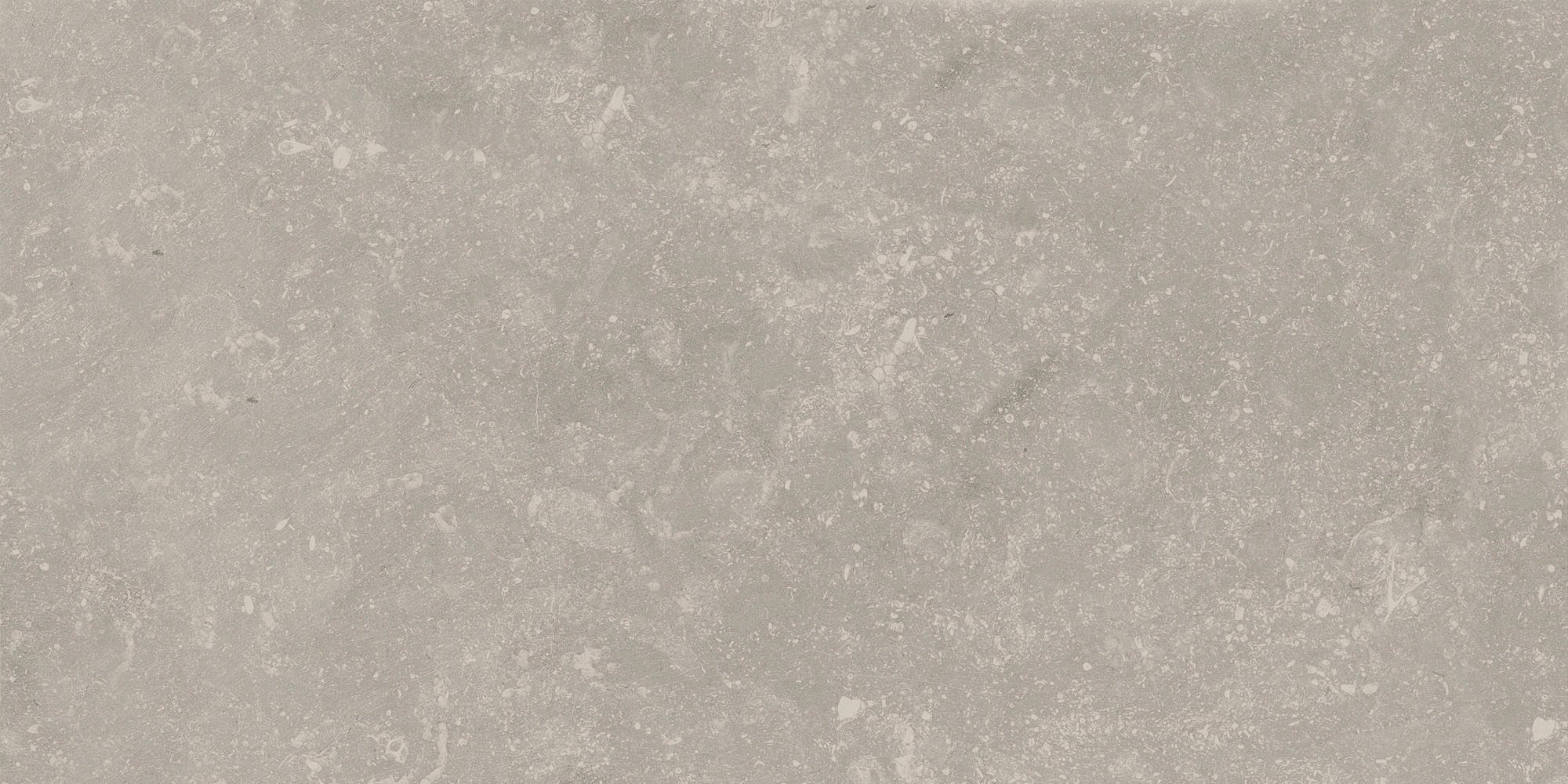 Luna Light Grey Natural (matte) - kleur & designlook vloer- en wandtegel in grijs, Aleluia