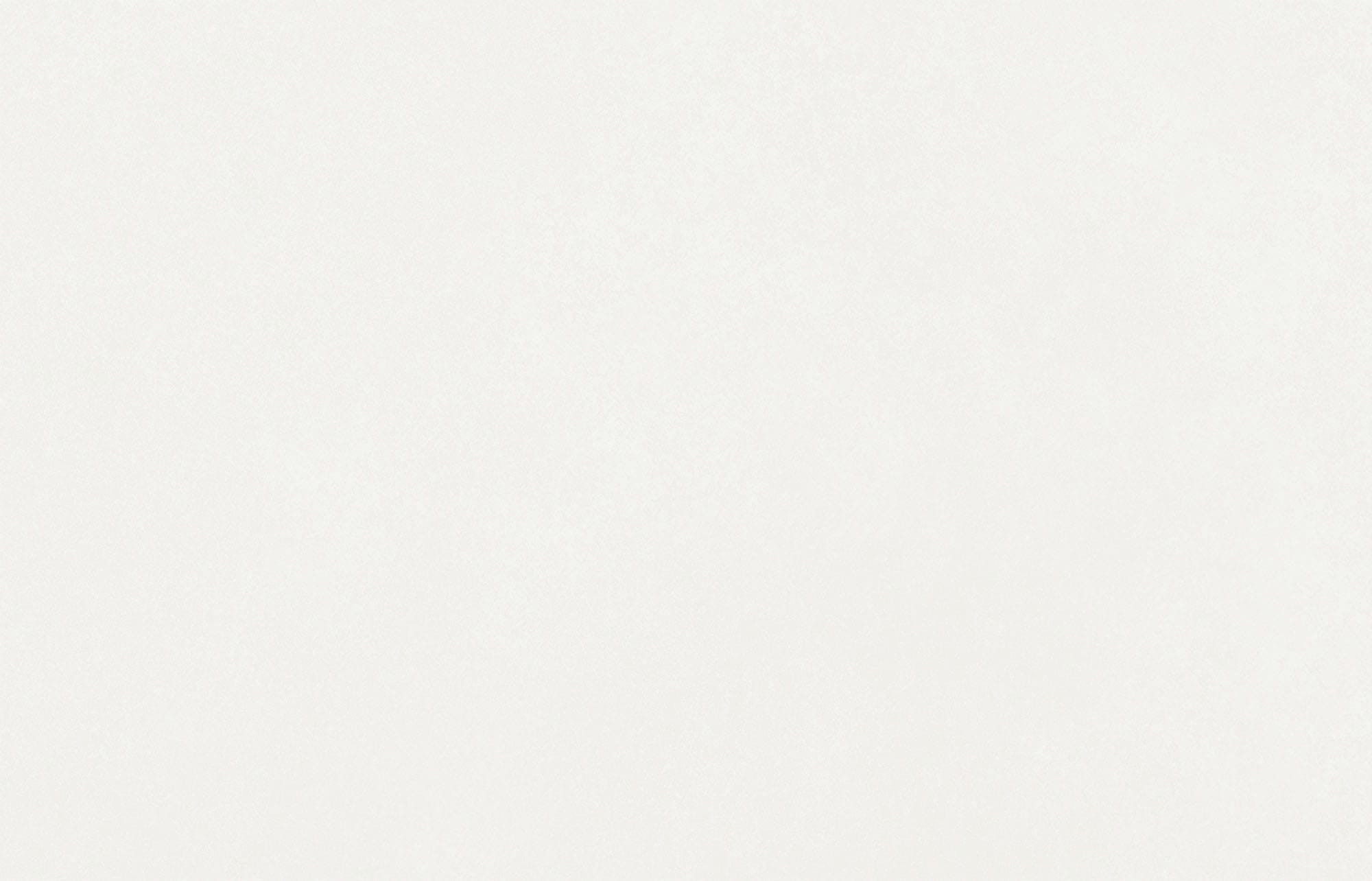 Mellow White Matte - kleur & designlook wandtegel in wit, Aleluia