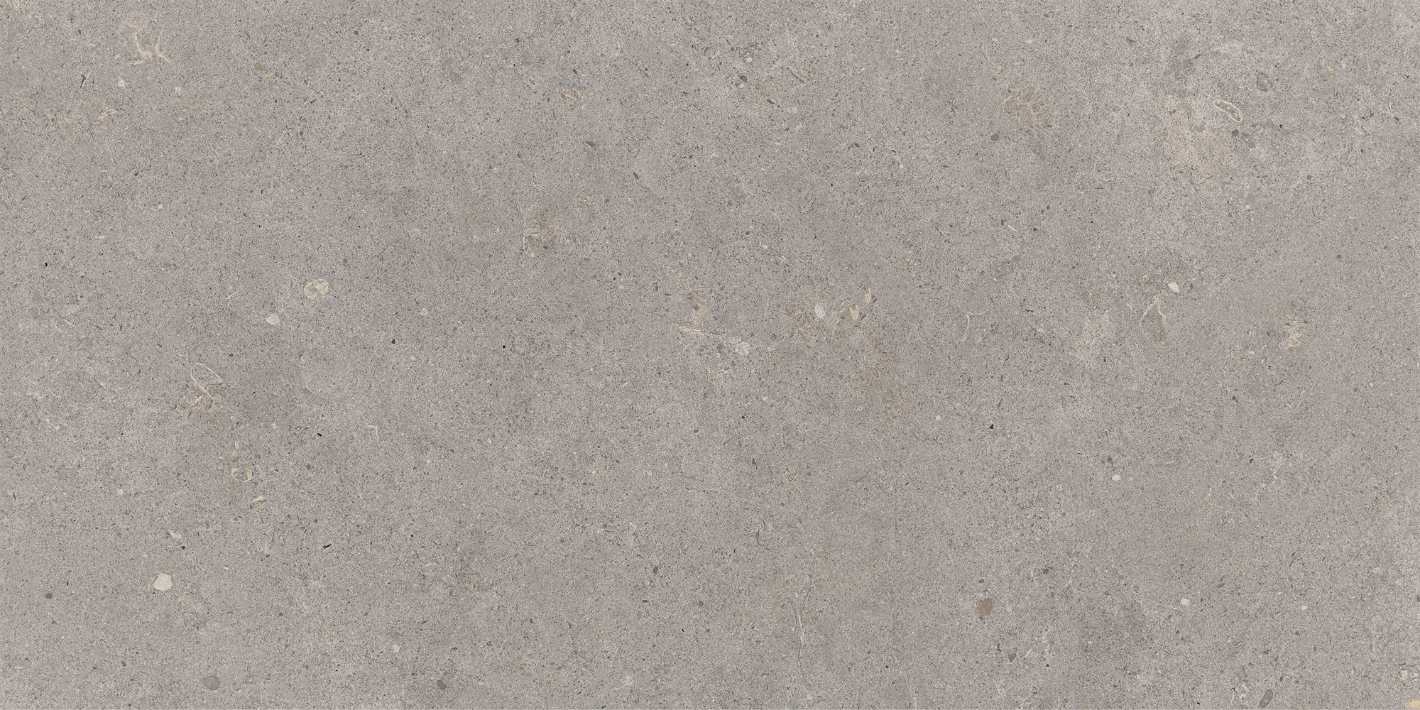 Flow Stone Ash Natural (matte) - steenlook vloer- en wandtegel in grijs, Aleluia