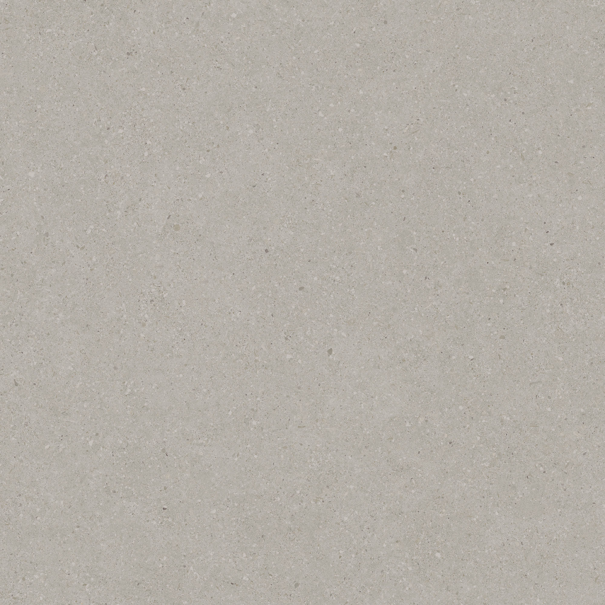 Balance Silver Natural (matte) - steenlook vloer- en wandtegel in zilver, Aleluia