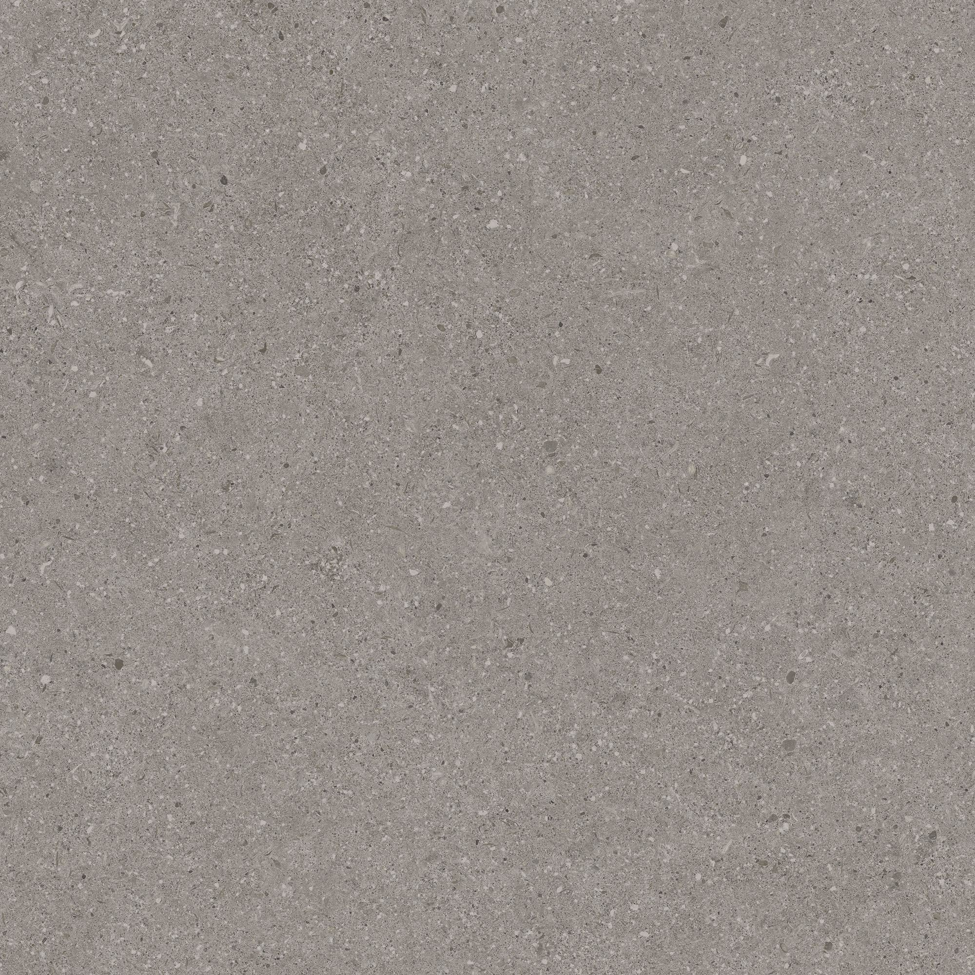 Balance Grey Natural (matte) - steenlook vloer- en wandtegel in grijs, Aleluia