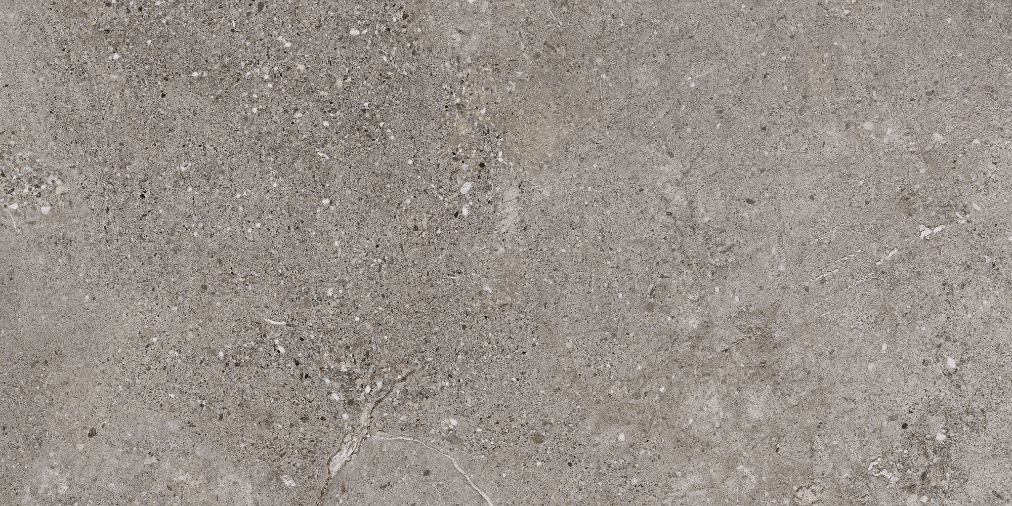 Stone Age Grey Polished - steenlook vloer- en wandtegel in grijs, Aleluia