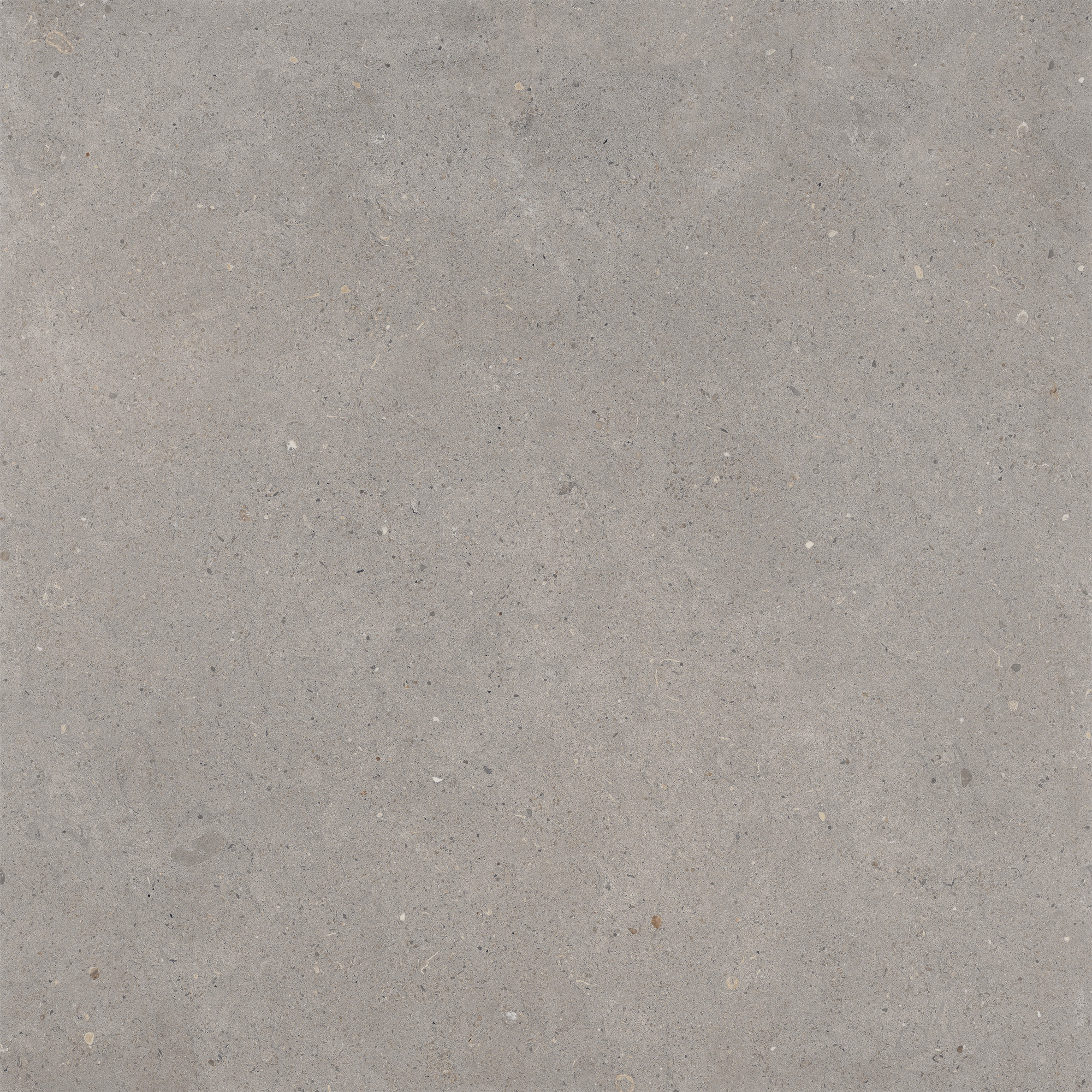 Flow Stone Ash Anti-slip - steenlook vloer- en wandtegel in grijs, Aleluia