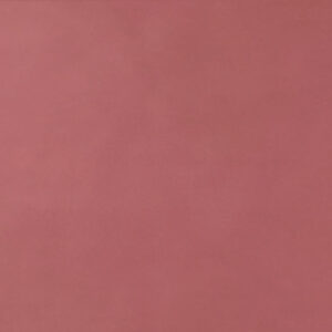 Liv’in Blush Red Matte - kleur & designlook wandtegel in rood, Aleluia