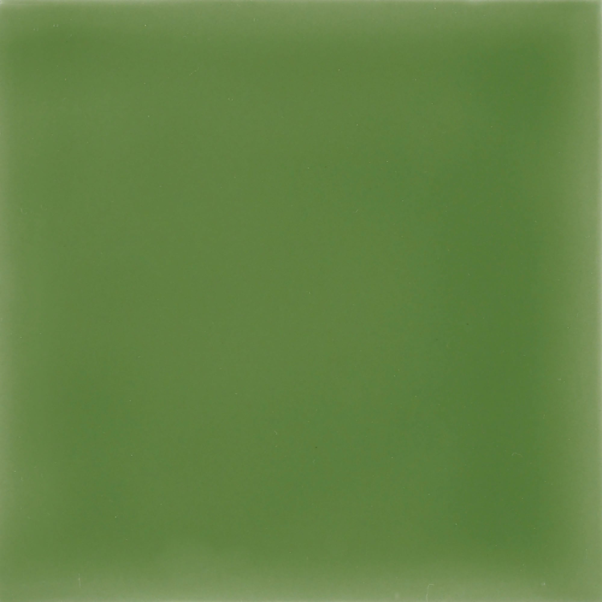 Urban Atelier Menta Glossy - kleur & designlook wandtegel in groen, Aleluia
